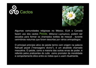 Algumas comunidades religiosas no México, EUA e Canadá
fazem uso dos cactos Peiote, Williamsii Lophophora, podem ser
secados para formar os chamados botões de mescal , durante
cerimônias noturnas que foram descritas por vários antropólogos.
O principal princípio ativo do peiote termo com origem na palavra
Nahuatl peyotl ("mensageiro divino"), é um alcalóide chamado
mescalina. O peiote, como a maioria das outras ervas de poder, é
referido pelos praticantes do culto como promotor da moralidade
e comportamento ético entre os índios que o usam ritualmente.
Cactos
 