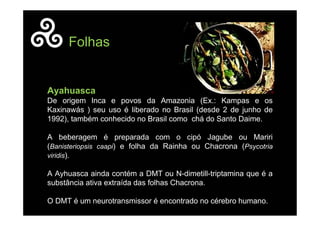 Ayahuasca
De origem Inca e povos da Amazonia (Ex.: Kampas e os
Kaxinawás ) seu uso é liberado no Brasil (desde 2 de junho de
1992), também conhecido no Brasil como chá do Santo Daime.
A beberagem é preparada com o cipó Jagube ou Mariri
(Banisteriopsis caapi) e folha da Rainha ou Chacrona (Psycotria
viridis).
A Ayhuasca ainda contém a DMT ou N-dimetill-triptamina que é a
substância ativa extraída das folhas Chacrona.
O DMT é um neurotransmissor é encontrado no cérebro humano.
Folhas
 