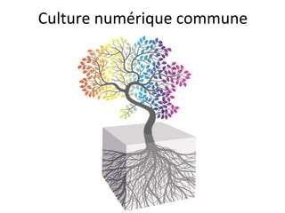 Culture numérique commune 