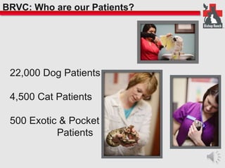 BRVC: Who are our Patients? 
22,000 Dog Patients 
4,500 Cat Patients 
500 Exotic & Pocket 
Patients 
 
