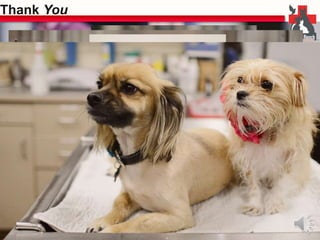 Thank You 
Thank you for providing 14 years of 
premium, dedicated, attentive and innovative 
Veterinary Care and Service to over 30,000 
BRVC patients. 
We appreciate the work you do and so do 
our clients. Some of your patients 
would also like to share their gratitude! 
 