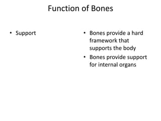 Anatomy of skeletal system | PPTX