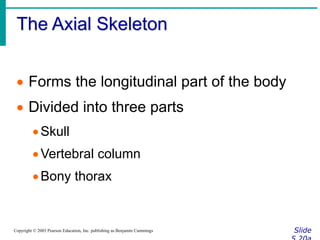 Anatomy of skeletal system | PPTX