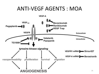 ANTI-VEGF AGENTS : MOA
26
 