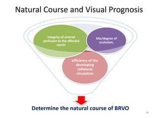 Natural Course and Visual Prognosis
Determine the natural course of BRVO
efficiency of the
developing
collateral
circulation
integrity of arterial
perfusion to the affected
sector
Site/degree of
occlusion,
38
 