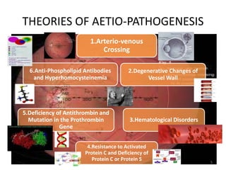 THEORIES OF AETIO-PATHOGENESIS
1.Arterio-venous
Crossing
2.Degenerative Changes of
Vessel Wall
3.Hematological Disorders
4.Resistance to Activated
Protein C and Deficiency of
Protein C or Protein S
5.Deficiency of Antithrombin and
Mutation in the Prothrombin
Gene
6.Anti-Phospholipid Antibodies
and Hyperhomocysteinemia
5
 