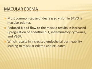 MACULAR EDEMA
 Most common cause of decreased vision in BRVO is
macular edema.
 Reduced blood flow to the macula results in increased
upregulation of endothelin-1, inflammatory cytokines,
and VEGF.
 Which results in increased endothelial permeability
leading to macular edema and exudates.
 