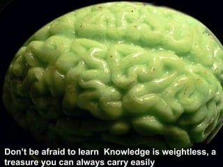 Don’t be afraid to learn. Knowledge is weightless, a treasure you can always carry easily. 