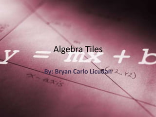 Algebra Tiles By: Bryan Carlo Licudan 