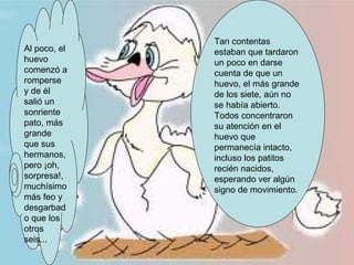 Tan contentas
Al poco, el   estaban que tardaron
huevo         un poco en darse
comenzó a     cuenta de que un
romperse      huevo, el más grande
y de él       de los siete, aún no
salió un      se había abierto.
sonriente     Todos concentraron
pato, más     su atención en el
grande        huevo que
que sus       permanecía intacto,
hermanos,     incluso los patitos
pero ¡oh,     recién nacidos,
sorpresa!,    esperando ver algún
muchísimo     signo de movimiento.
más feo y
desgarbad
o que los
otros
seis...
 