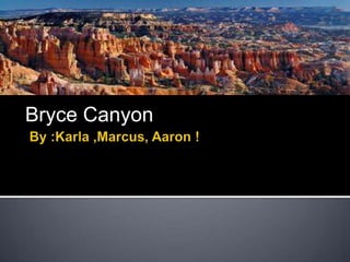Bryce Canyon

 