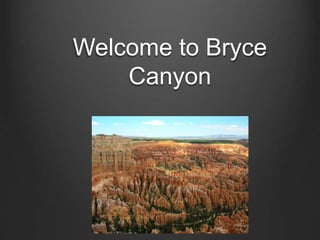 Welcome to Bryce
Canyon
 