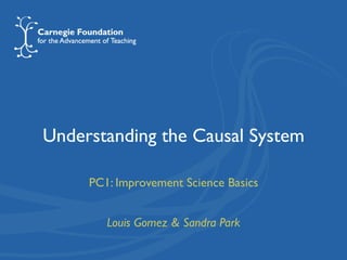 Understanding the Causal System
PC1: Improvement Science Basics
Louis Gomez & Sandra Park
 