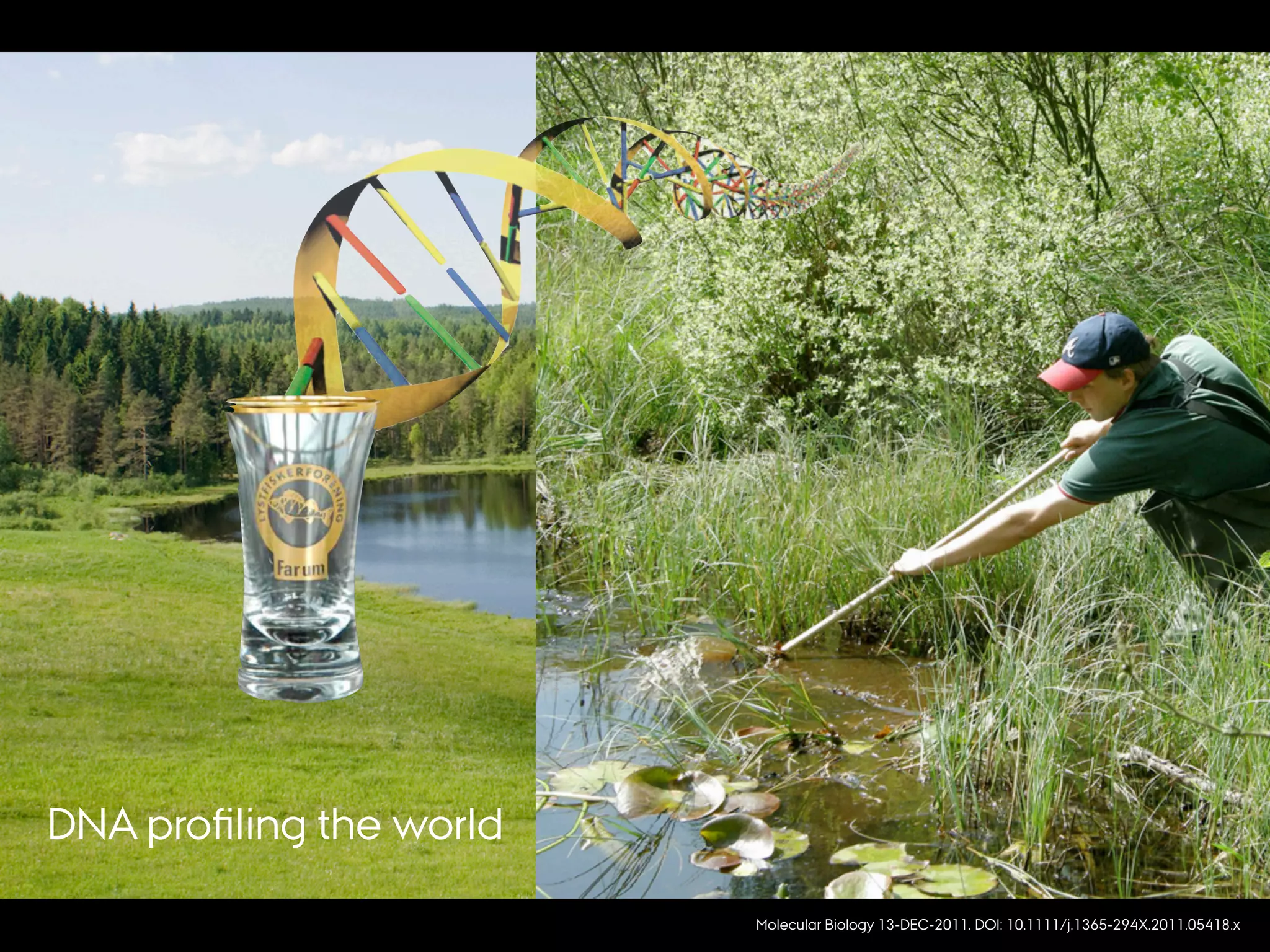 Molecular Biology 13-DEC-2011. DOI: 10.1111/j.1365-294X.2011.05418.x
DNA proﬁling the world
 