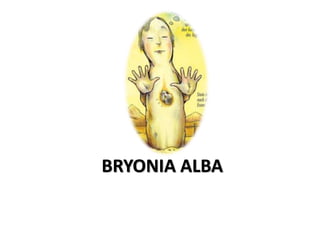 BRYONIA ALBA
 
