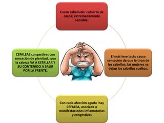 Cuero cabelludo cubierto de
caspa; extremadamente
sensible.
El más leve tacto causa
sensación de que le tiran de
los cabellos; las mujeres se
dejan los cabellos sueltos.
Con cada afección aguda hay
CEFALEA, asociada a
manifestaciones inflamatorias
y congestivas
CEFALEAS congestivas con
sensación de plenitud, que
la cabeza VA A ESTALLAR Y
SU CONTENIDO A SALIR
POR LA FRENTE.
 