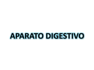 APARATO DIGESTIVO
 