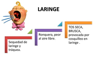LARINGE
Sequedad de
laringe y
tráquea.
Ronquera, peor
al aire libre.
TOS SECA,
BRUSCA,
provocada por
cosquilleo en
laringe .
 