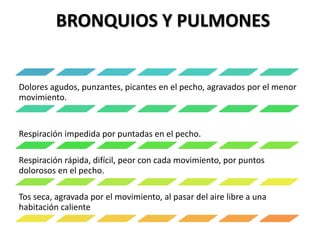 BRONQUIOS Y PULMONES
Dolores agudos, punzantes, picantes en el pecho, agravados por el menor
movimiento.
Respiración impedida por puntadas en el pecho.
Respiración rápida, difícil, peor con cada movimiento, por puntos
dolorosos en el pecho.
Tos seca, agravada por el movimiento, al pasar del aire libre a una
habitación caliente
 