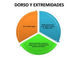 DORSO Y EXTREMIDADES
Rigidez dolorosa de
nuca; rigidez y dolores
en región renal.
Dolores punzantes y picantes o
desgarrantes, o entumecimiento
dolorosos de CIATICA.
En la mielitis aguda
 