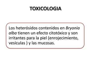 TOXICOLOGIA
Los heterósidos contenidos en Bryonia
alba tienen un efecto citotóxico y son
irritantes para la piel (enrojecimiento,
vesículas ) y las mucosas.
 