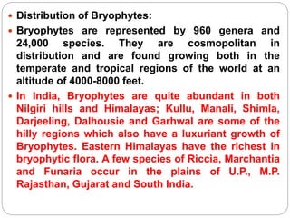  Distribution of Bryophytes:
 Bryophytes are represented by 960 genera and
24,000 species. They are cosmopolitan in
distribution and are found growing both in the
temperate and tropical regions of the world at an
altitude of 4000-8000 feet.
 In India, Bryophytes are quite abundant in both
Nilgiri hills and Himalayas; Kullu, Manali, Shimla,
Darjeeling, Dalhousie and Garhwal are some of the
hilly regions which also have a luxuriant growth of
Bryophytes. Eastern Himalayas have the richest in
bryophytic flora. A few species of Riccia, Marchantia
and Funaria occur in the plains of U.P., M.P.
Rajasthan, Gujarat and South India.
 