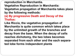 reproduction in Marchantia.
Vegetative Reproduction in Marchantia:
Vegetative propagation of Marchantia takes place
by the following methods:
(a) By progressive Death and Decay of the
Thallus:
Like Riccia, the vegetative propagation of
Marchantia is quite common which takes place
by the unlimited growth of the branches and
decay from the base. When the decay of cells
reaches dichotomy, the two lobes becomes
separated from each other and the each separa-
ted lobe forms independent plants
 