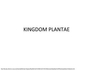 KINGDOM PLANTAE 