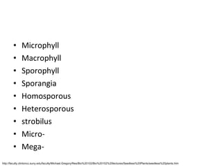 Bryophyte,Cryptogams,Gymno | PPT