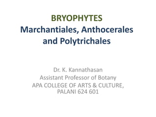 BRYOPHYTES
Marchantiales, Anthocerales
and Polytrichales
Dr. K. Kannathasan
Assistant Professor of Botany
APA COLLEGE OF ARTS & CULTURE,
PALANI 624 601
 