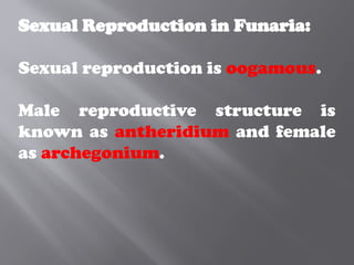 Sexual Reproduction in Funaria:
Sexual reproduction is oogamous.
Male reproductive structure is
known as antheridium and female
as archegonium.
 