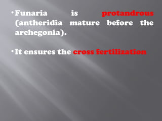 •Funaria is protandrous
(antheridia mature before the
archegonia).
•It ensures the cross fertilization
 