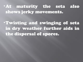 •At maturity the seta also
shows jerky movements.
•Twisting and swinging of seta
in dry weather further aids in
the dispersal of spores.
 