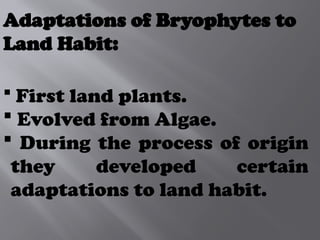 Adaptations of Bryophytes to
Land Habit:
 First land plants.
 Evolved from Algae.
 During the process of origin
they developed certain
adaptations to land habit.
 