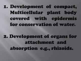 1. Development of compact,
Multicellular plant body
covered with epidermis
for conservation of water.
2. Development of organs for
attachment and
absorption e.g., rhizoids.
 
