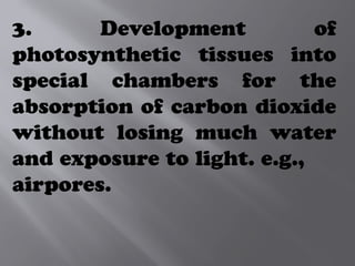 3. Development of
photosynthetic tissues into
special chambers for the
absorption of carbon dioxide
without losing much water
and exposure to light. e.g.,
airpores.
 
