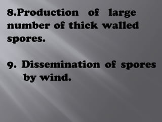 8.Production of large
number of thick walled
spores.
9. Dissemination of spores
by wind.
 