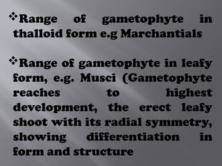 Range of gametophyte in
thalloid form e.g Marchantials
Range of gametophyte in leafy
form, e.g. Musci (Gametophyte
reaches to highest
development, the erect leafy
shoot with its radial symmetry,
showing differentiation in
form and structure
 