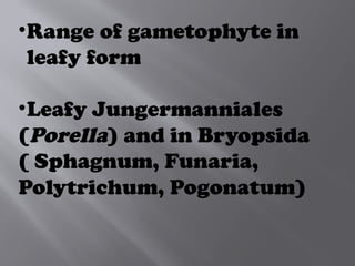 •Range of gametophyte in
leafy form
•Leafy Jungermanniales
(Porella) and in Bryopsida
( Sphagnum, Funaria,
Polytrichum, Pogonatum)
 