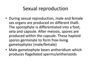 Sexual reproduction
• During sexual reproduction, male and female
sex organs are produced on different thalli.
The sporophyte is differentiated into a foot,
seta and capsule. After meiosis, spores are
produced within the capsule. These haploid
spores germinate to form free-living
gametophytes (male/female)
• Male gametophyte bears antheridium which
produces flagellated sperms/antherizoids
 