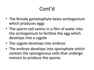 Cont’d
• The female gametophyte bears archegonium
which produces eggs
• The sperm cell swims in a film of water into
the archegonium to fertilize the egg which
develops into a zygote
• The zygote develops into embryo
• The embryo develops into sporophyte which
contain the sporogenous cells that undergo
meiosis to produce the spores.
 