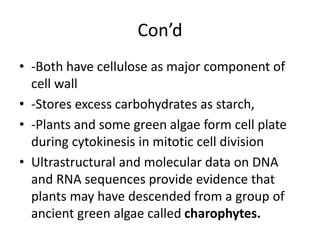 Con’d
• -Both have cellulose as major component of
cell wall
• -Stores excess carbohydrates as starch,
• -Plants and some green algae form cell plate
during cytokinesis in mitotic cell division
• Ultrastructural and molecular data on DNA
and RNA sequences provide evidence that
plants may have descended from a group of
ancient green algae called charophytes.
 