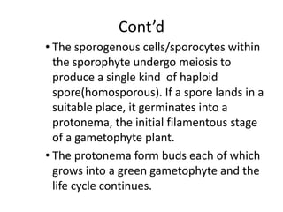 Cont’d
• The sporogenous cells/sporocytes within
the sporophyte undergo meiosis to
produce a single kind of haploid
spore(homosporous). If a spore lands in a
suitable place, it germinates into a
protonema, the initial filamentous stage
of a gametophyte plant.
• The protonema form buds each of which
grows into a green gametophyte and the
life cycle continues.
 