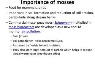 Importance of mosses
– Food for mammals, birds
– Important in soil formation and reduction of soil erosion,
particularly along stream banks
– Commercial moss- peat moss (Sphagnum) multiplied in
moss bioreactors are developed as a new tool to
monitor air pollution.
• Fuel (dried).
• Soil conditioner- helps retain moisture.
• Also used by florists to hold moisture.
• They also store large amount of carbon which helps to reduce
global warming or greenhouse effect
 