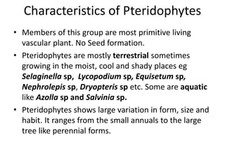 Characteristics of Pteridophytes
• Members of this group are most primitive living
vascular plant. No Seed formation.
• Pteridophytes are mostly terrestrial sometimes
growing in the moist, cool and shady places eg
Selaginella sp, Lycopodium sp, Equisetum sp,
Nephrolepis sp, Dryopteris sp etc. Some are aquatic
like Azolla sp and Salvinia sp.
• Pteridophytes shows large variation in form, size and
habit. It ranges from the small annuals to the large
tree like perennial forms.
 