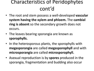 Characteristics of Peridophytes
cont’d
• The root and stem possess a well-developed vascular
system having the xylem and phloem. The cambial
ring is absent so the secondary growth does not
occurs.
• The leaves bearing sporangia are known as
sporophylls.
• In the heterosporous plants, the sporophylls with
megasporangia are called megasporophyll and with
microsporangia are called microsporophyll.
• Asexual reproduction is by spores produced in the
sporangia, fragmentation and budding also occur
 