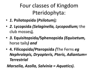 Four classes of Kingdom
Pteridophyta:
• 1. Psilotopsida (Psilotum);
• 2. Lycopsida (Selaginella, Lycopodium; the
club mosses),
• 3. Equisitopsida/Sphenopsida (Equisetum,
horse tails) and
• 4. Filicopsida/Pteropsida (The Ferns eg
Nephrolepis, Dryopteris, Pteris, Adiantum=
Terrestrial
Marselia, Azolla, Salvinia = Aquatics).
 