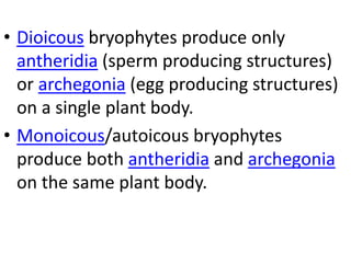 • Dioicous bryophytes produce only
antheridia (sperm producing structures)
or archegonia (egg producing structures)
on a single plant body.
• Monoicous/autoicous bryophytes
produce both antheridia and archegonia
on the same plant body.
 