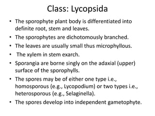 bryophytes and pteridophytes.ppt cryptogams | PPT