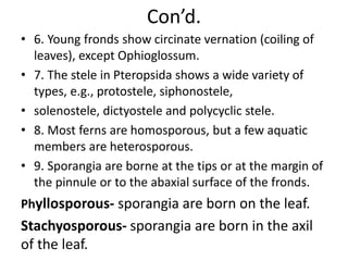 Con’d.
• 6. Young fronds show circinate vernation (coiling of
leaves), except Ophioglossum.
• 7. The stele in Pteropsida shows a wide variety of
types, e.g., protostele, siphonostele,
• solenostele, dictyostele and polycyclic stele.
• 8. Most ferns are homosporous, but a few aquatic
members are heterosporous.
• 9. Sporangia are borne at the tips or at the margin of
the pinnule or to the abaxial surface of the fronds.
Phyllosporous- sporangia are born on the leaf.
Stachyosporous- sporangia are born in the axil
of the leaf.
 